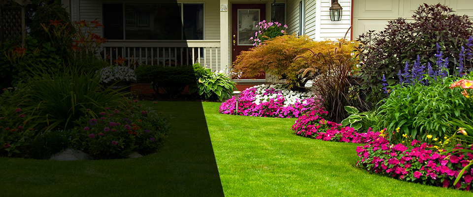 Saddle Brook Landscapers